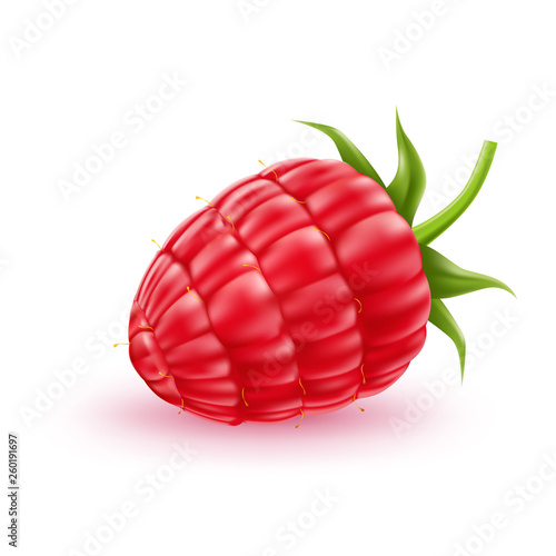 Vector realistic fresh raspberry red fruit a