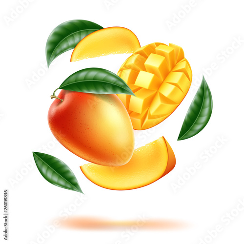 Vector mango leaf sliced cubes in motion