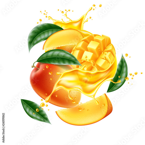 Vector realistic mango leaf slice juice splash
