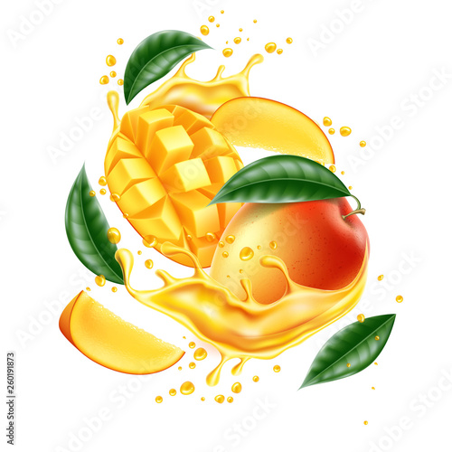 Vector realistic mango leaf slice juice splash