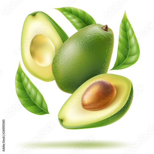 Vector avocado leaf sliced half in motion