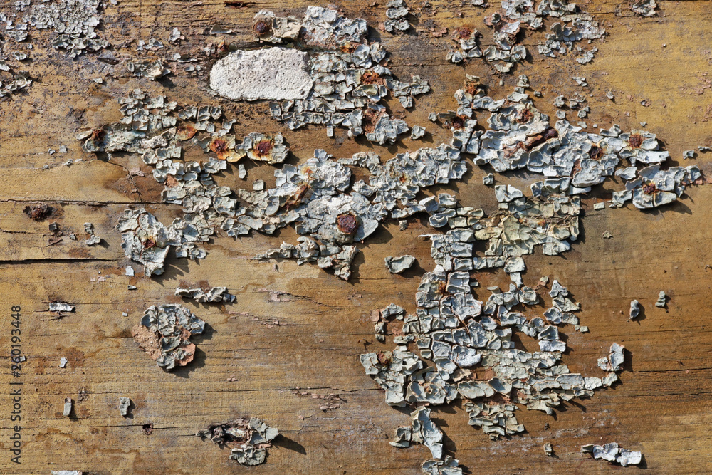 Cracked blue paint on an old wooden aged pine door planks background Cracked blue paint on an old wooden aged pine door planks background