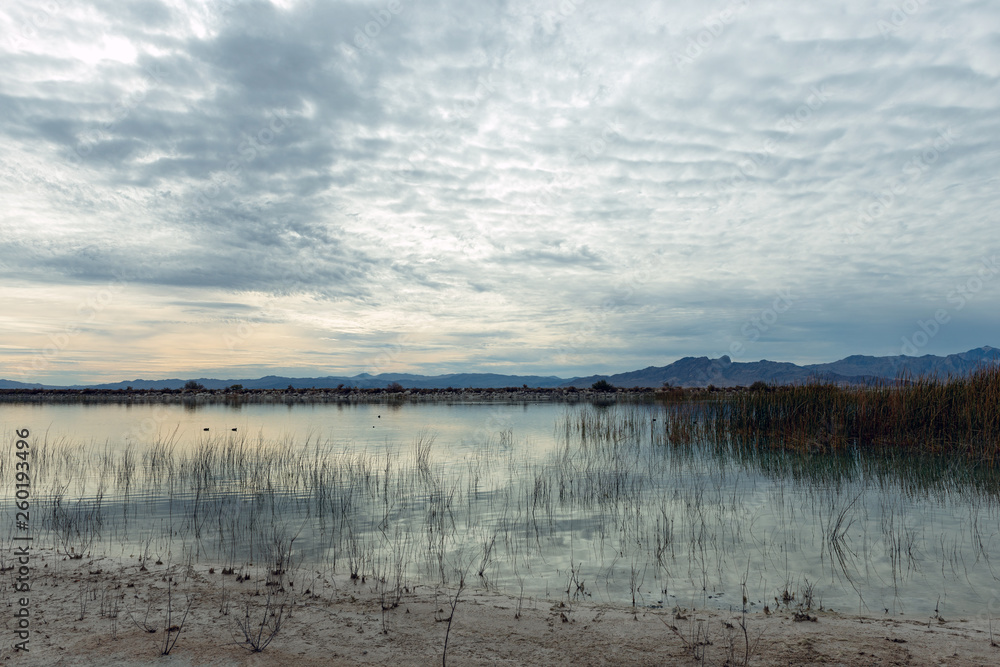 Crystal Reservoir in tha Ash Meadows National Wildlife Refuge, Nevada, USA