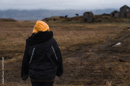 Rear view of female looking at horses grazing in green mountains with amazing landscape, Iceland