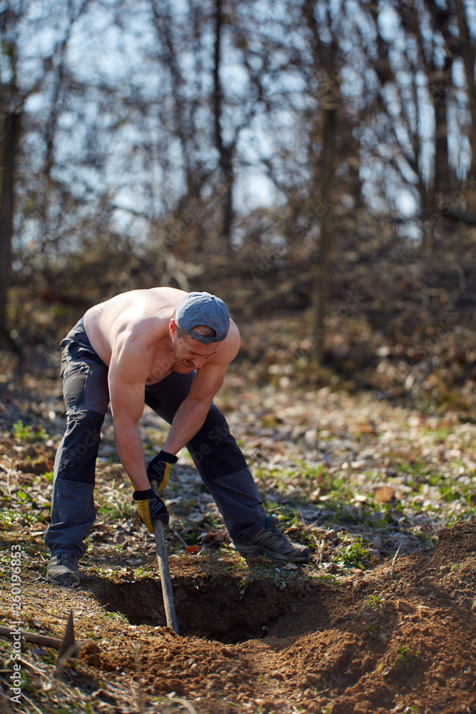 Strong farmer digging with pickaxe