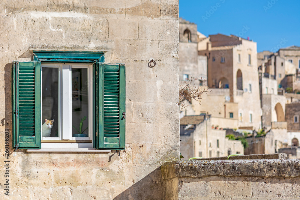 Cat at window in Matera, Basilicata, Itay