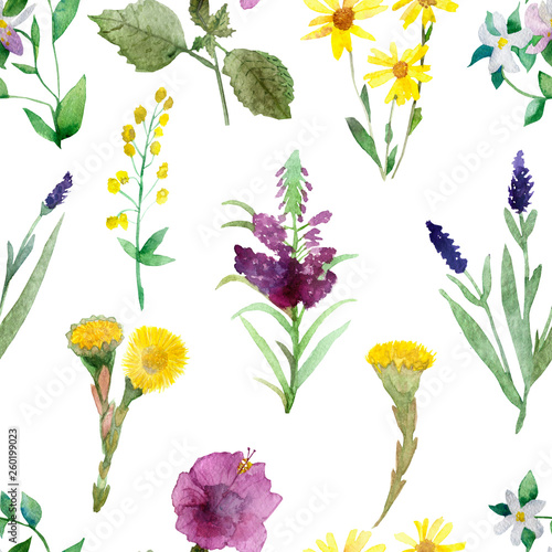 Wallpaper Mural Hand painted watercolor set of green herbs and spices. Floral large seamless pattern of field useful herbs and yellow flowers for the design of natural food, kitchen, market, textiles, jewelry. Torontodigital.ca
