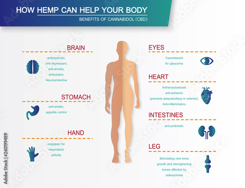 how hemp can help your body