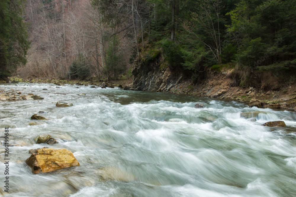 Rapid mountain river with a strong current in the early spring. Rapid Carpathian River with a strong current in the early spring. Rapid mountain river with a strong current in the early spring. Rapid Carpathian River with a strong current in the early spring.