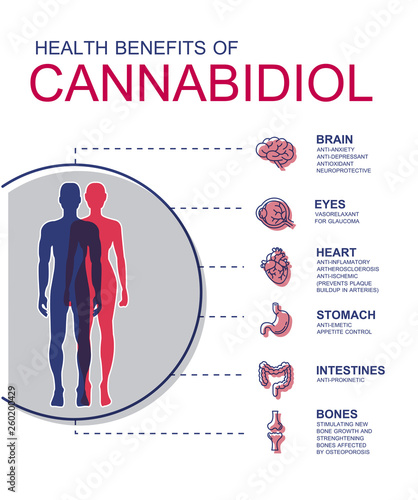 Health benefits of Cannabidiol CBD from cannabis,effect on human,vector infographic on white background.