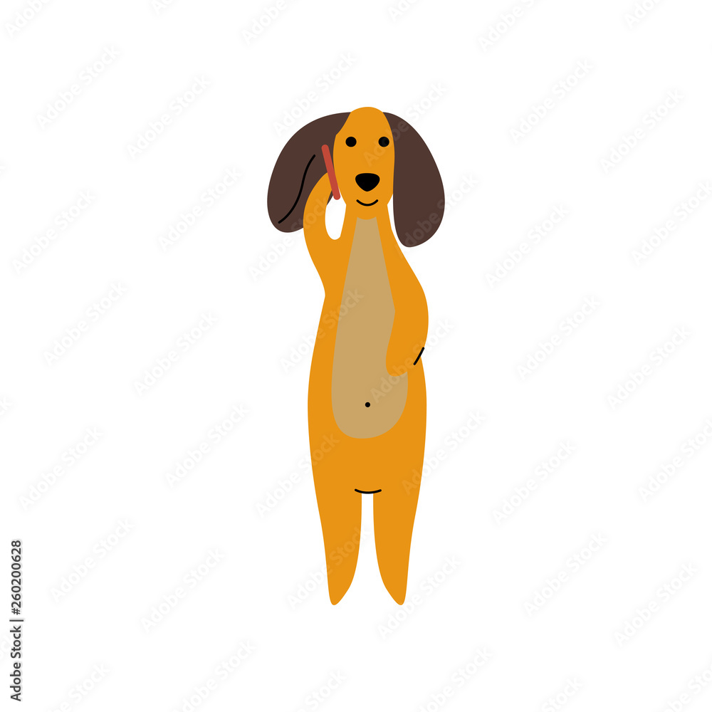 Funny talking dachshund videos 2025