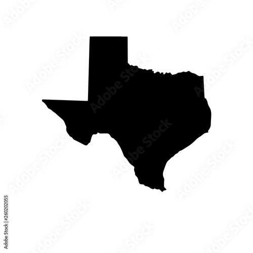 The Map Of Texas. Raster illustration