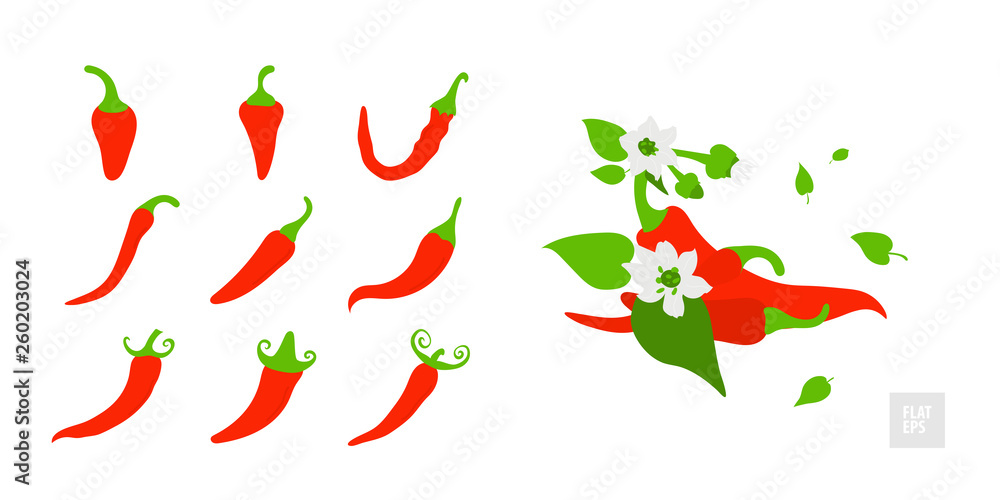 Red hot chili peppers set. Various peppers in assortment with leaves, buds and flowers. Design for grocery, culinary products, seasoning and spice package, recipe web site decoration, cooking book. Red hot chili peppers set. Various peppers in assortment with leaves, buds and flowers. Design for grocery, culinary products, seasoning and spice package, recipe web site decoration, cooking book.