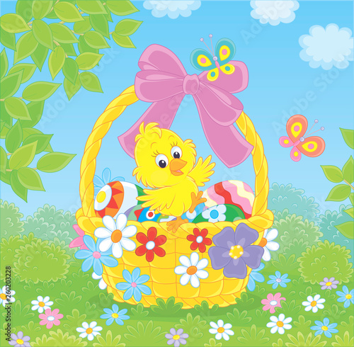 Little yellow chick and colored Easter eggs in a basket decorated with a pink bow among colorful flowers and flittering butterflies on a sunny spring day, vector illustration in a cartoon style