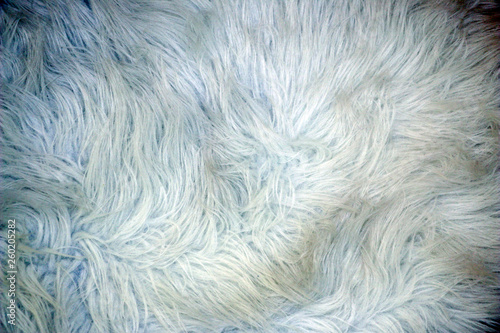 Fluffy texture of fur for background, design.