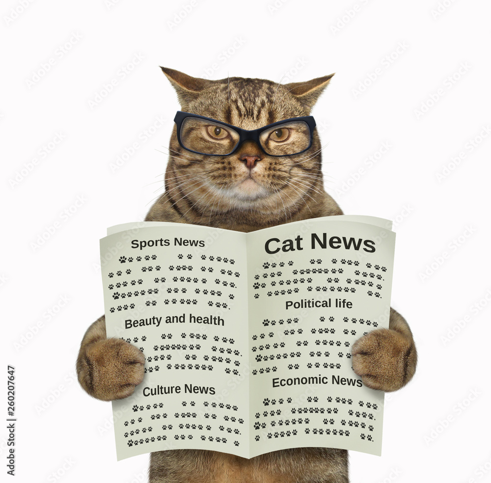 Cat Reading Newspaper
