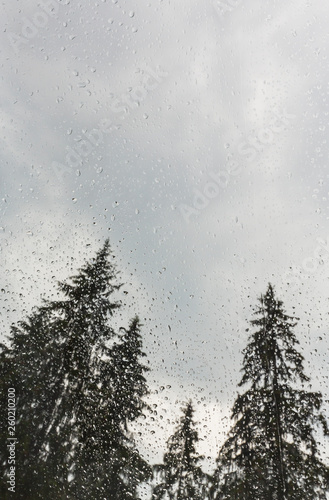 Beautiful view of fir trees from a cabin window in the mountains, covered in rain drops, and rain clouds in summer