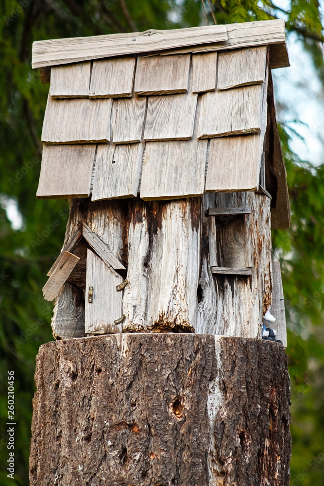 birdhouse on tree birdhouse on tree