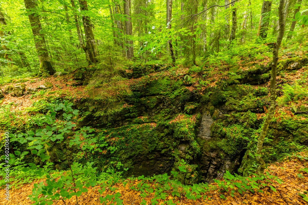 Mountain scenery in the Alps in summer, with green forests, on a rainy day Mountain scenery in the Alps in summer, with green forests, on a rainy day