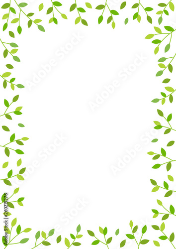 Green branches background
