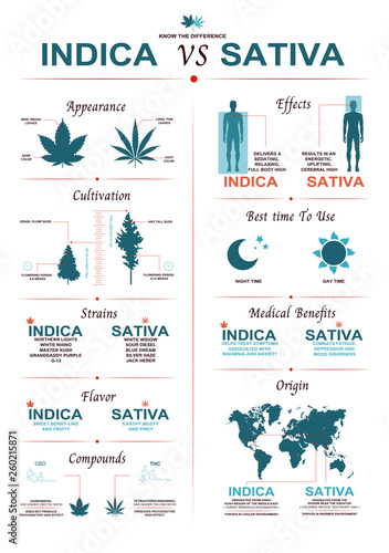 The difference of leaf cannabis sativa and indica