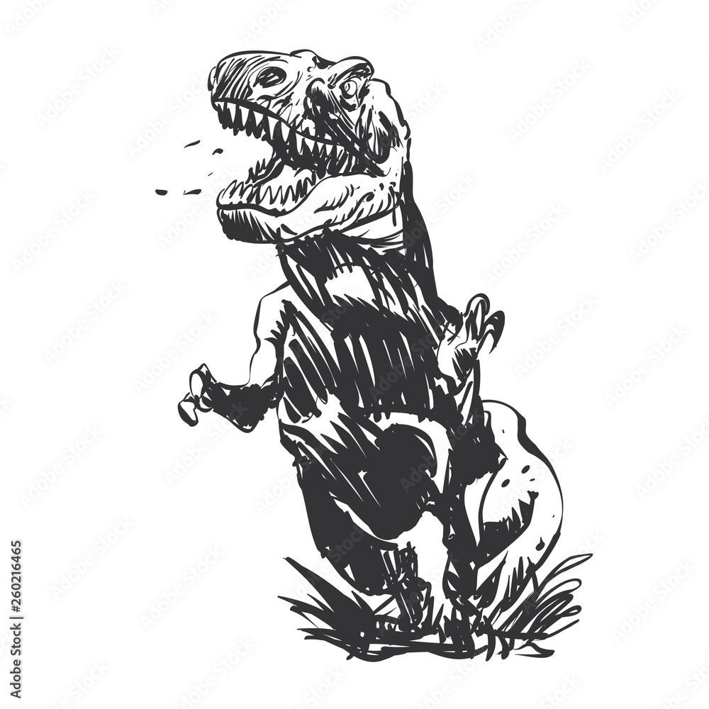 Naklejka premium Tyrannosaurus hand-painted - Vector illustration