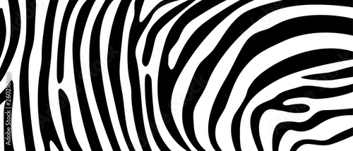 Zebra pattern texture repeating. Simple pattern, black line for textile design fabric. horizontal backdrop, black chaotic stripe isolated on white. hand drawn vector illustration.