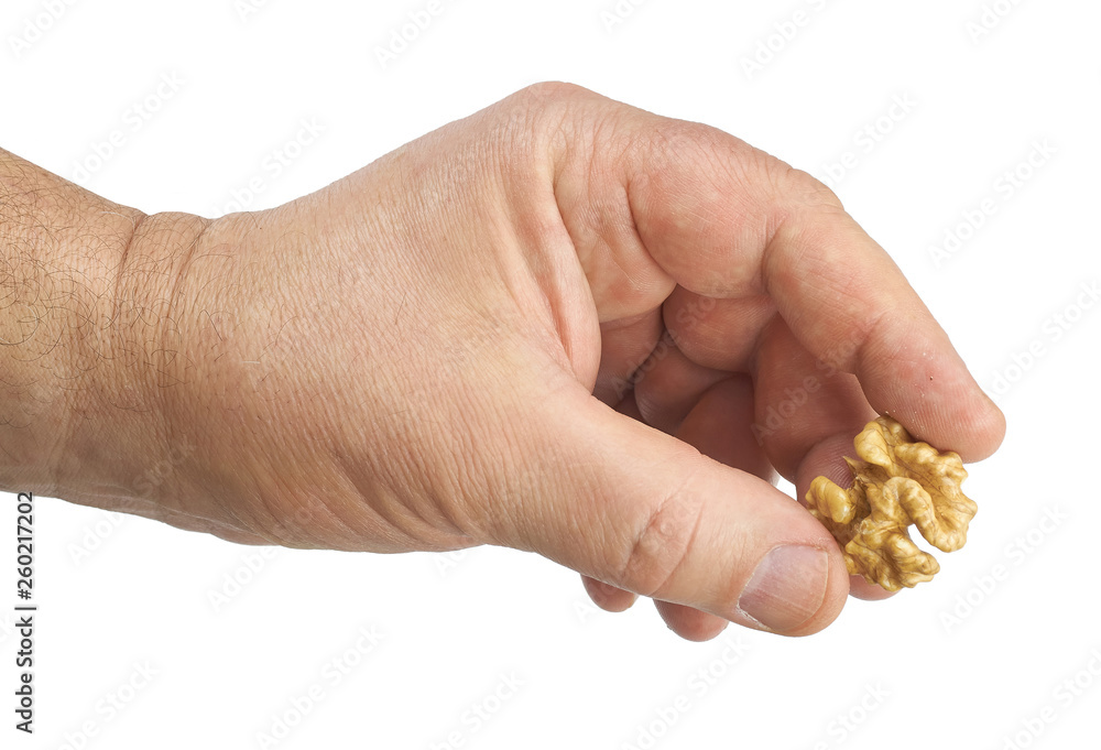 Fototapeta premium walnut in hand on white background