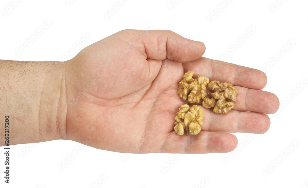walnut in hand on white background walnut in hand on white background