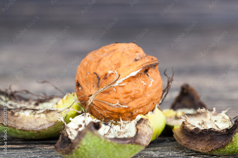 Former walnuts Former walnuts