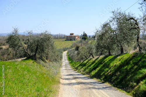 Road in the countryside landscape in Tuscany, Italy.