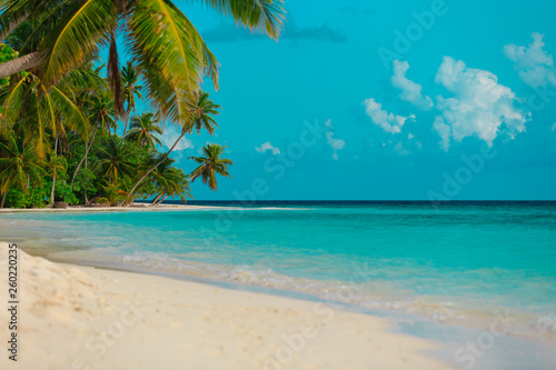 Fototapeta Naklejka Na Ścianę i Meble -  tropical sand beach with palm trees, vacation at sea