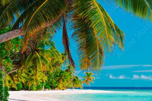 tropical sand beach with palm trees, vacation at sea