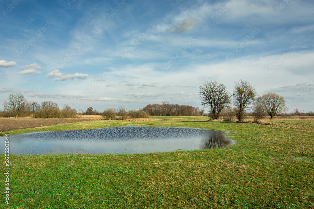 Spring landscape of a meadow, water after rain and blue sky