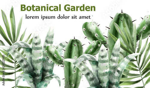 Cactus and succulents botanic garden watercolor Vector