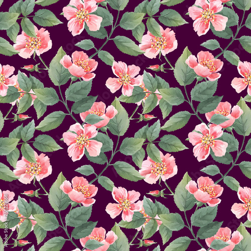 Wild roses watercolor seamless pattern