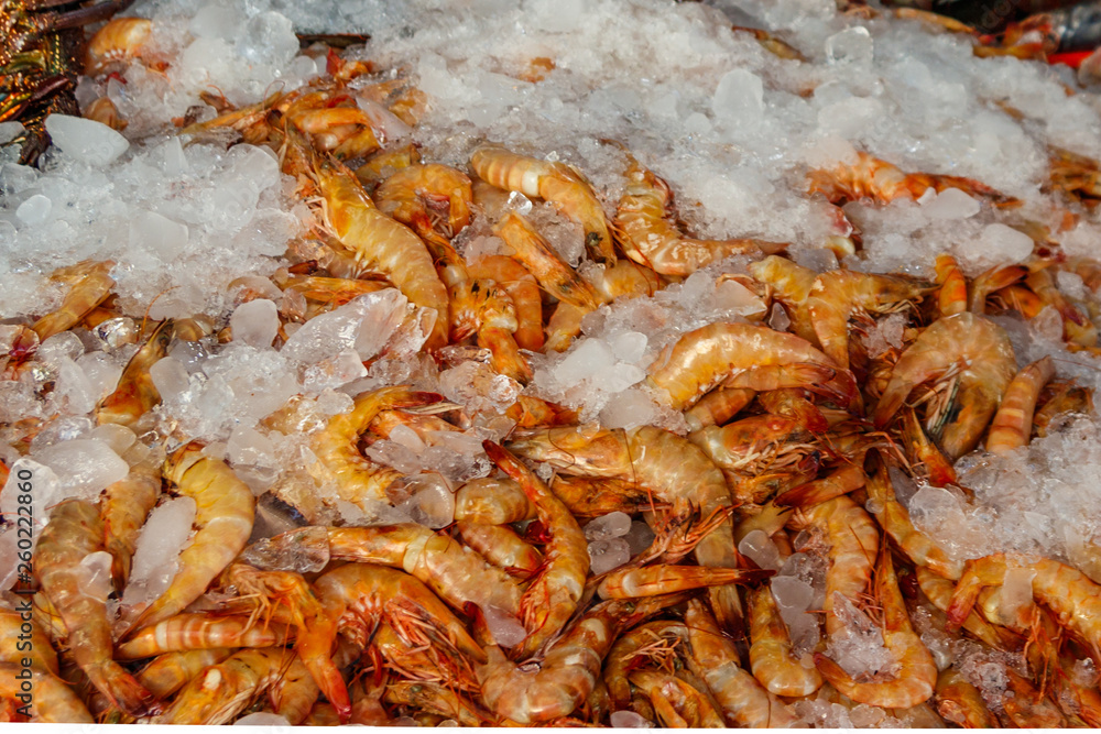 Fresh raw shrimps in the fish market Fresh raw shrimps in the fish market
