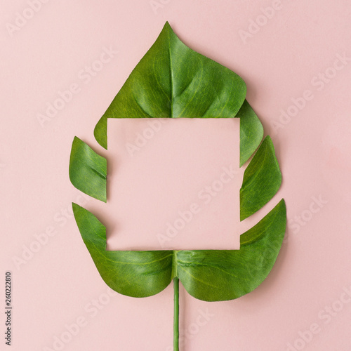Creative layout made with cut out monstera leaf on pastel pink background. Minimal tropical nature composition with copy space.