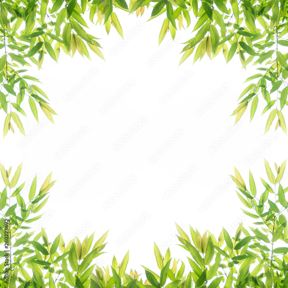 Green leaf border frame for background. Green leaf border frame for background.