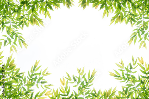 Green leaf border frame for background.