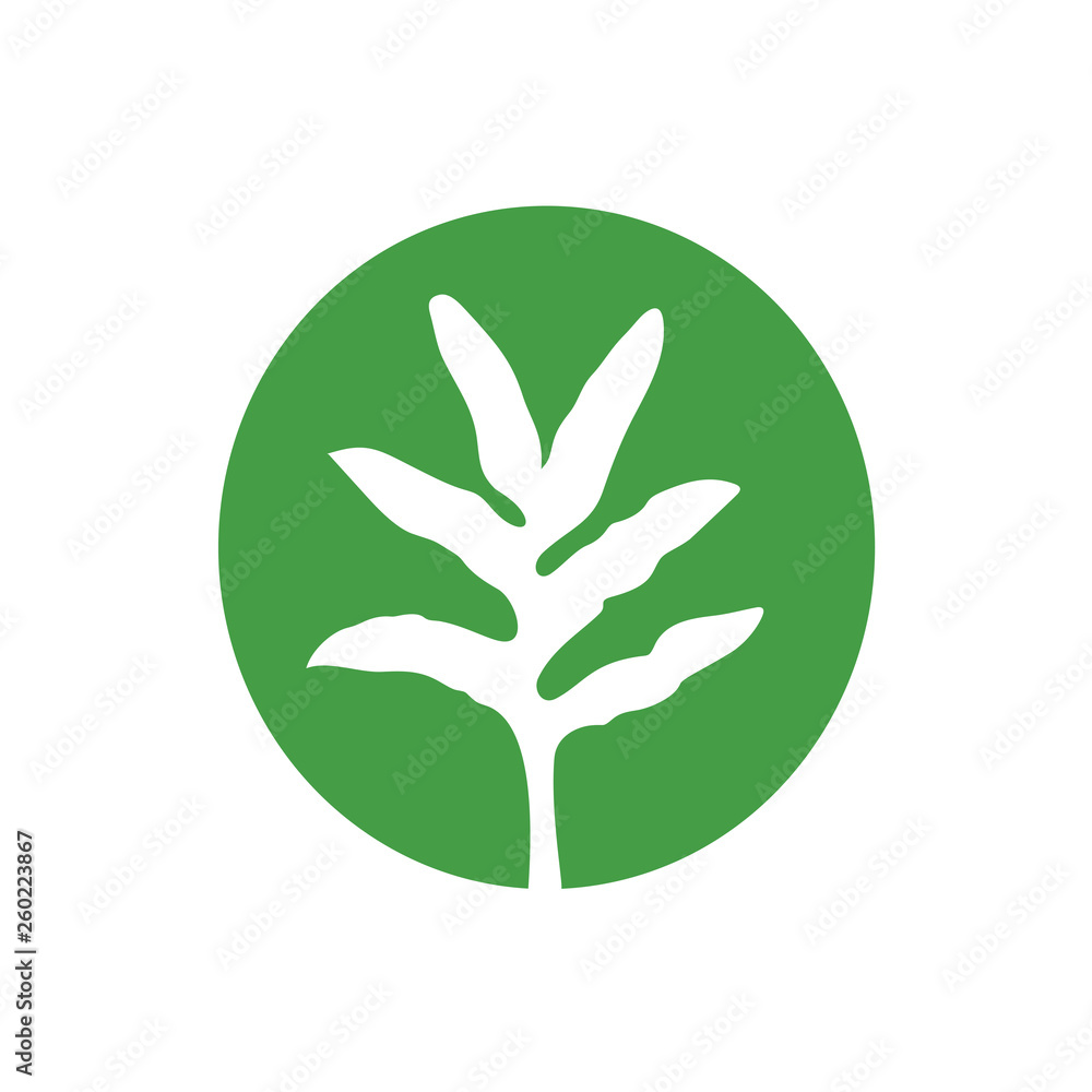 Asian Green Leaf Logo Vector, Simple Icon Design Asian Green Leaf Logo Vector, Simple Icon Design