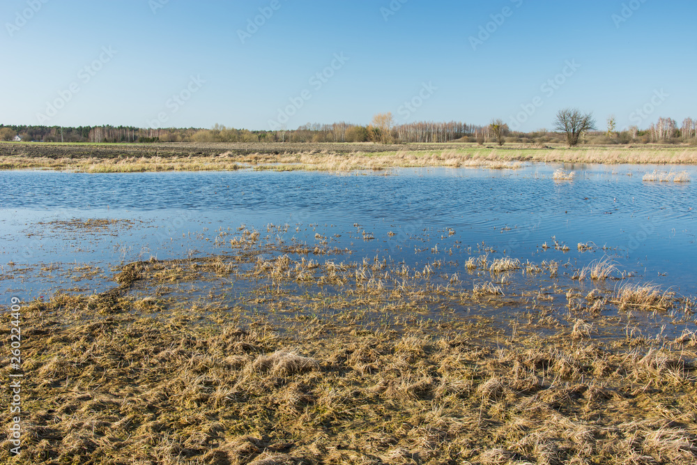 A large meadow covered with water after rain and dry grass