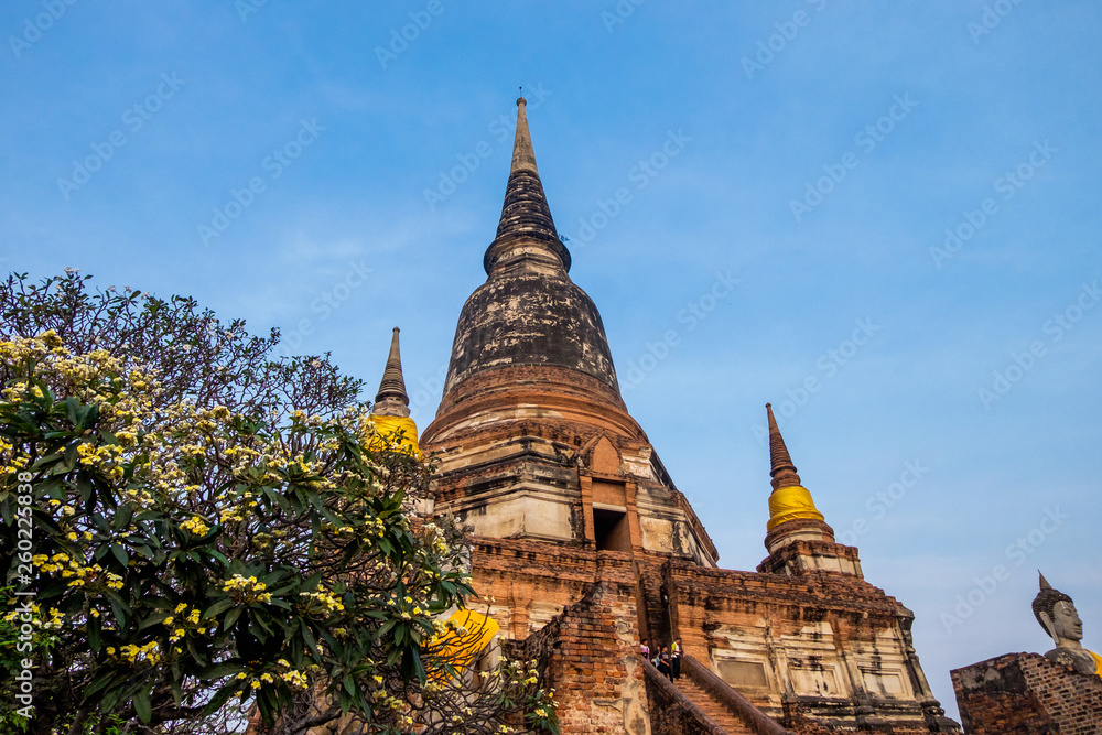 Fototapeta premium Wat yai chaimongkol ,Old Temple of Ayuthaya, Thailand
