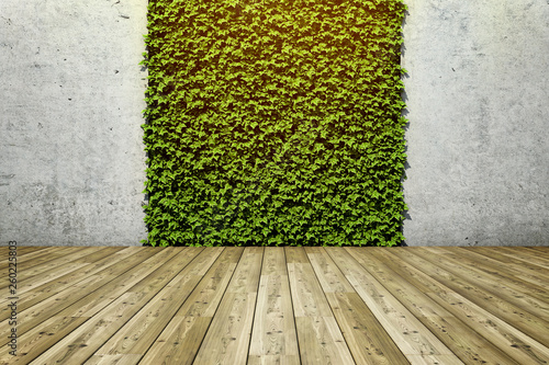 Inner courtyard  with green wall