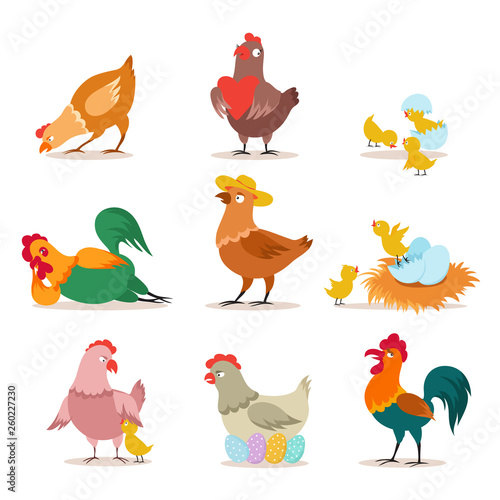 Chicken set. Farm chick, hen and rooster in various poses. Happy christmas chicken. Funny domestic birds vector cartoon characters. Chicken bird, rooster and hen illustration