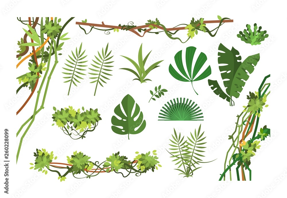 Jungle vine. Cartoon rainforest leaves and liana overgrown plants. Isolated  vector set of exotic jungle plant, palm leaf and green branch illustration  Stock Vector | Adobe Stock