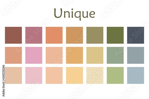 Unique Palette Tone Vector