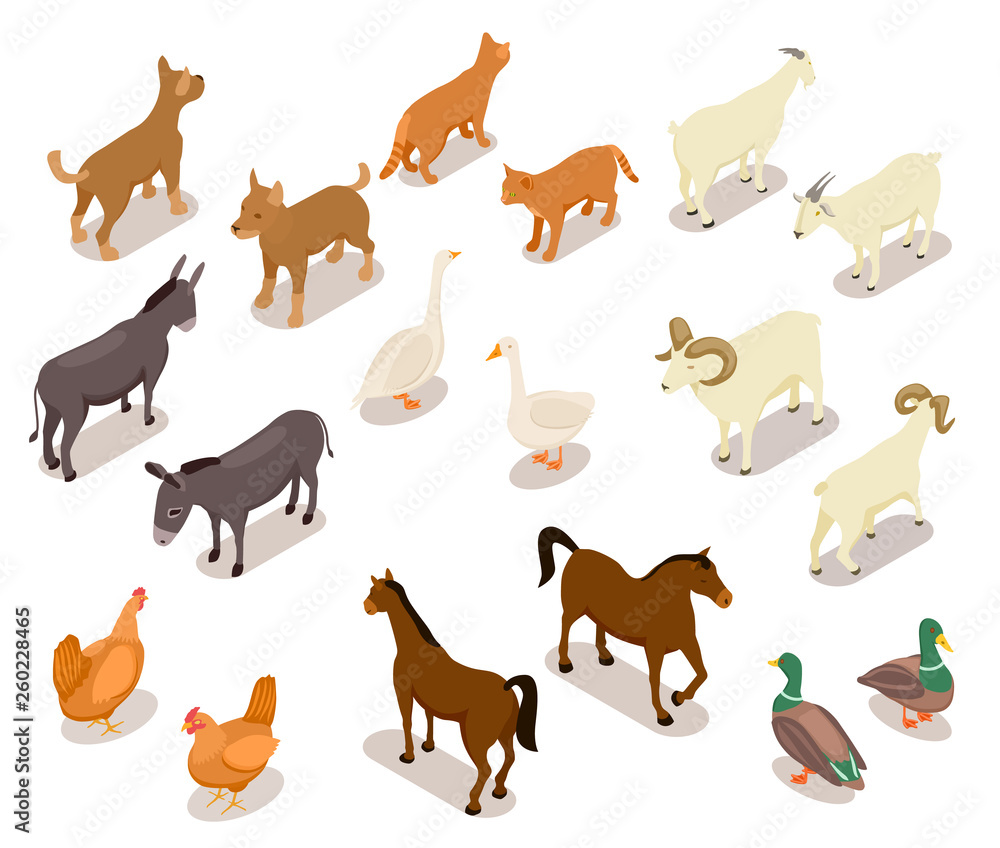 Farm animals isometric. Horse and dog, cat and goose, chicken and goat, ram and duck, donkey. Domestic animals vector 3d set isolated. Illustration of isometric animal farm, sheep and goat