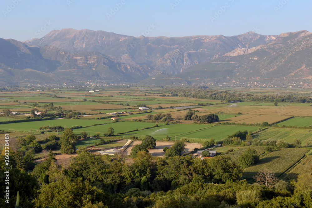 Agriculture. Corn growing (Fanariu valley, Epirus, Greece)