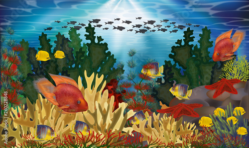 Fototapeta Naklejka Na Ścianę i Meble -  Underwater wallpaper with algae and tropical fish, vector illustration
